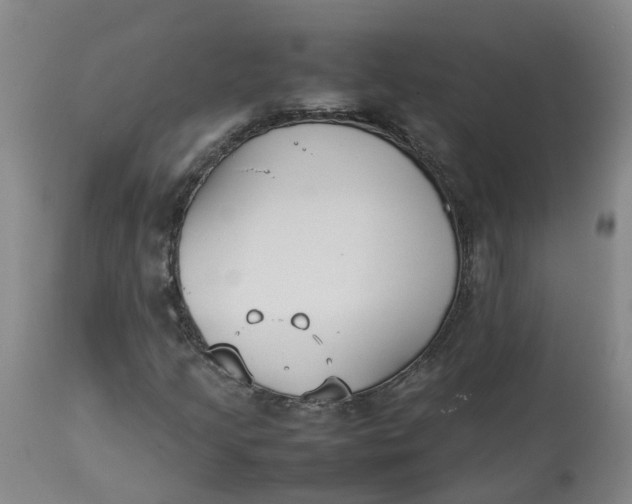 X0000113211205200910011312