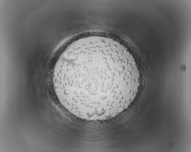 X0000113211208200910011312