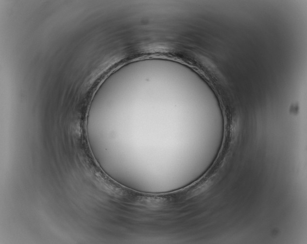 X0000113211209200910011312