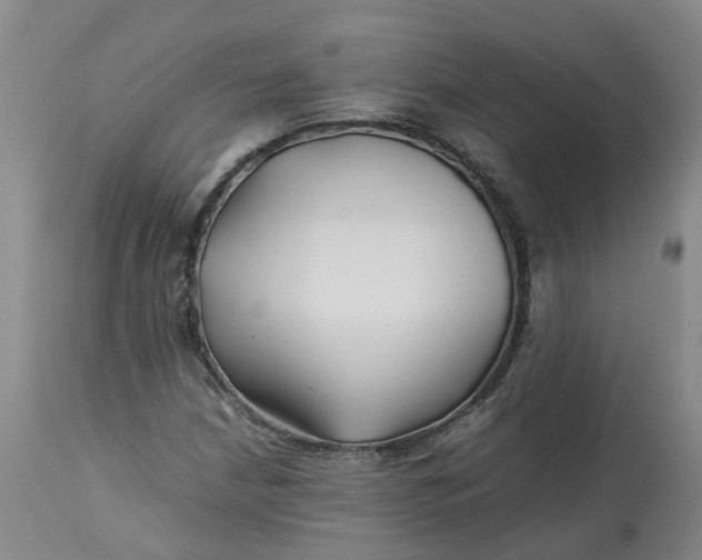 X0000113211210200910011312