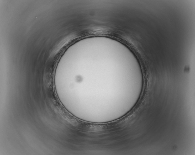 X0000113211211200910011312