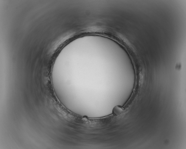 X0000113211213200910011312