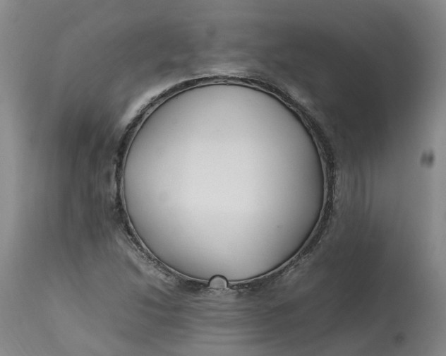 X0000113211214200910011312