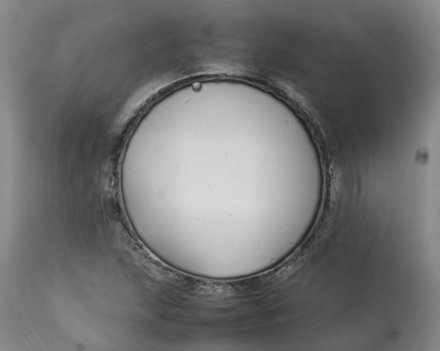 X0000113211215200910011312