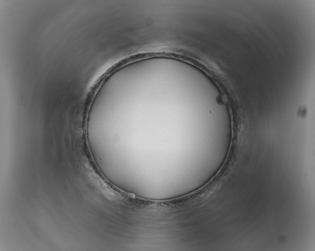 X0000113211216200910011312