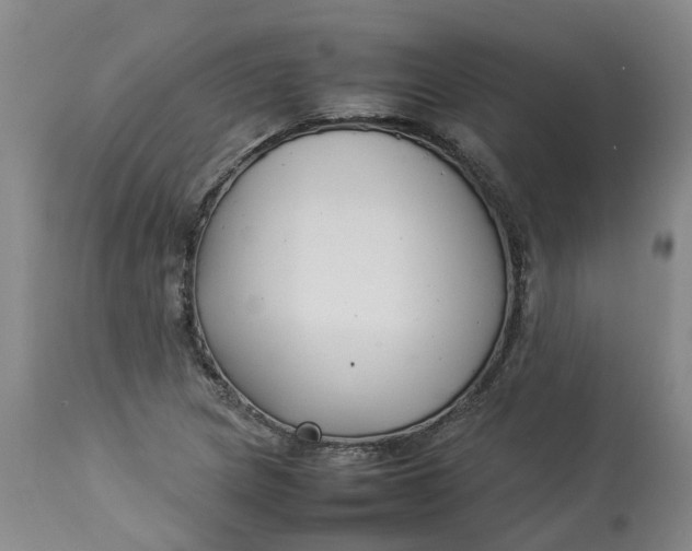 X0000113211217200910011312