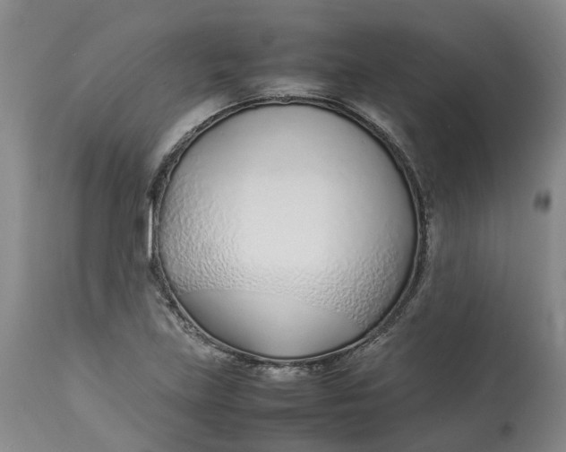 X0000113211219200910011312