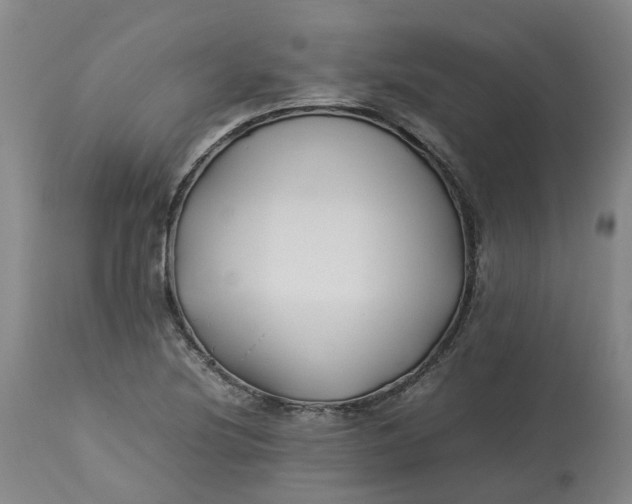 X0000113211220200910011312