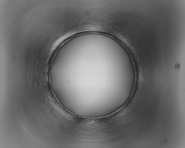 X0000113211222200910011312