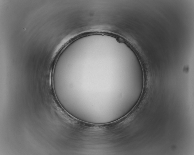 X0000113211224200910011312