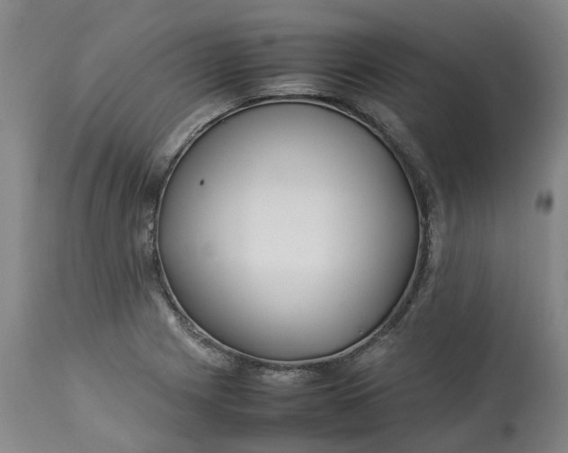 X0000113211225200910011312