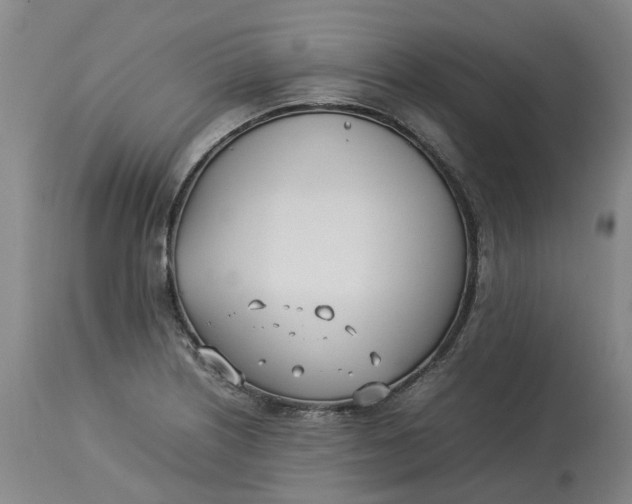 X0000113211226200910011312