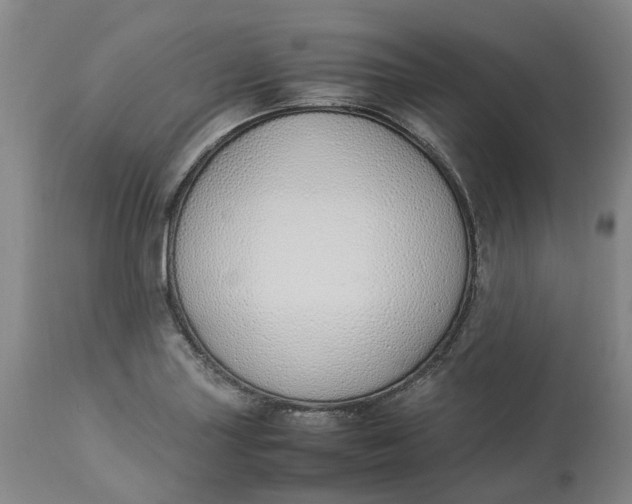 X0000113211227200910011312