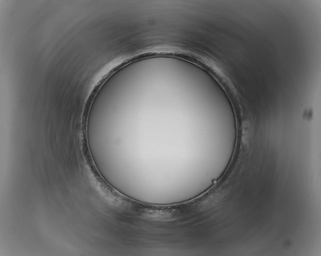 X0000113211229200910011312