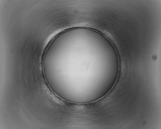 X0000113211230200910011312