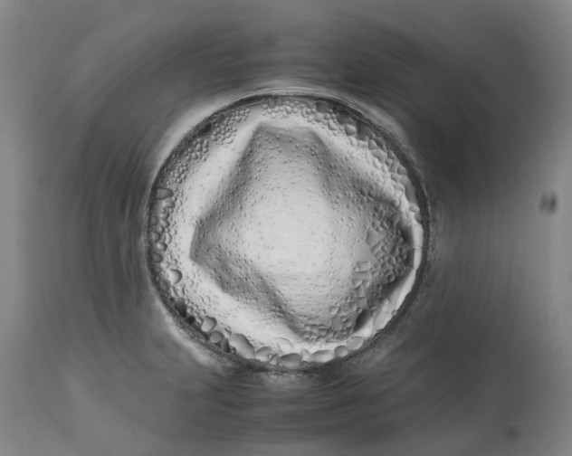 X0000113211231200910011312