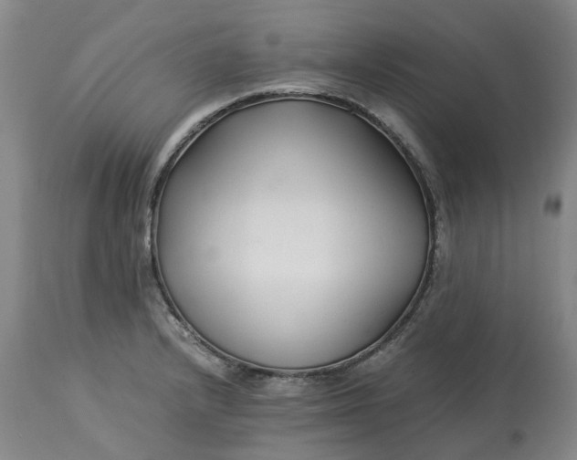 X0000113211232200910011312