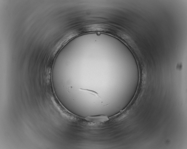 X0000113211233200910011312