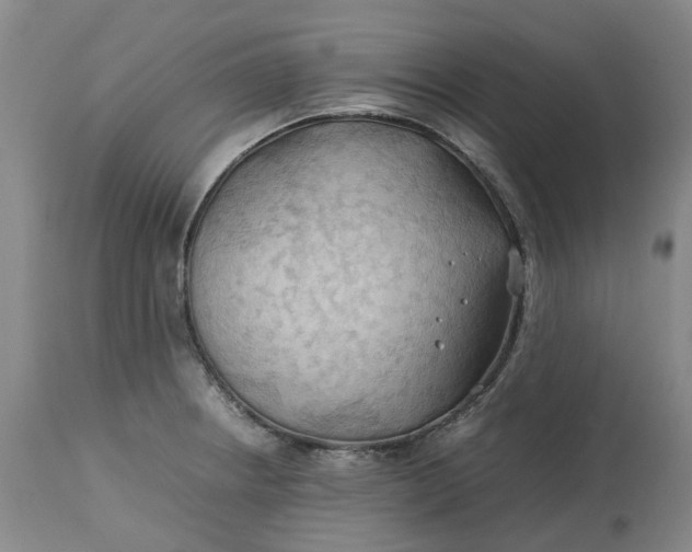 X0000113211234200910011312