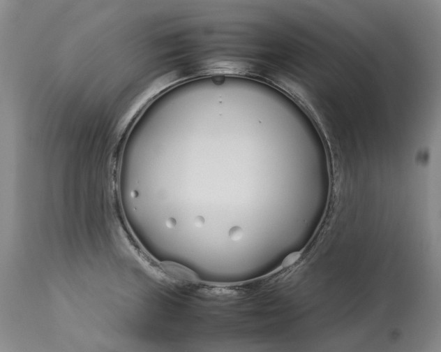 X0000113211235200910011312