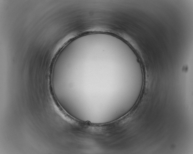 X0000113211237200910011312