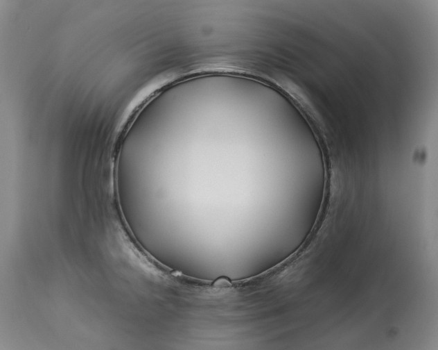 X0000113211238200910011312