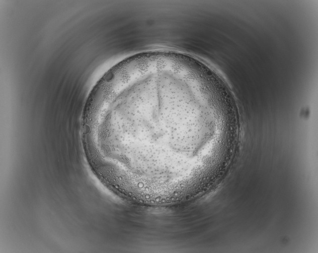 X0000113211239200910011312