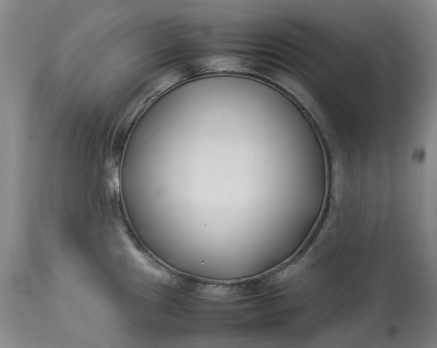 X0000113211241200910011313