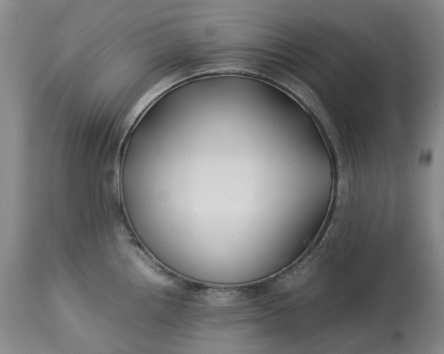 X0000113211242200910011313