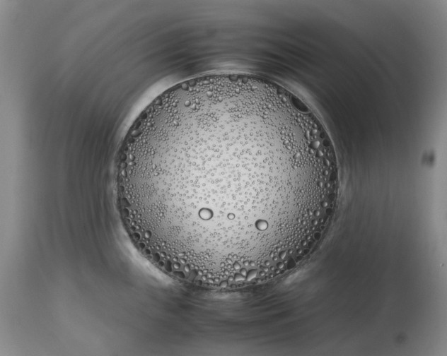 X0000113211243200910011313