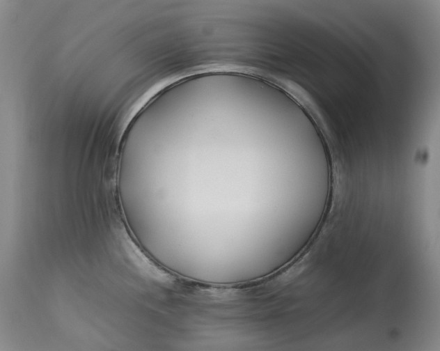 X0000113211244200910011313