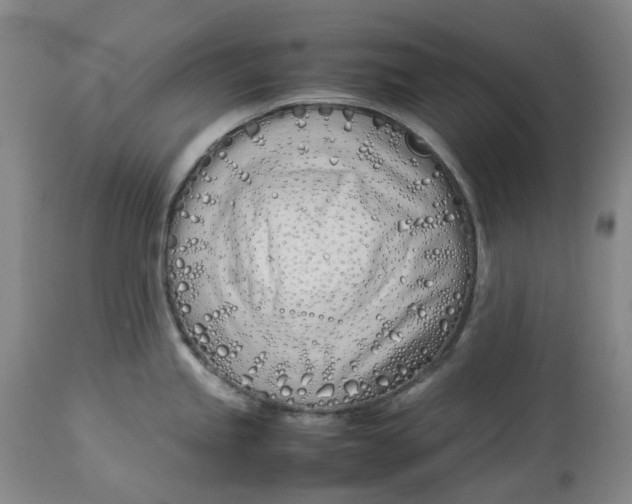 X0000113211245200910011313