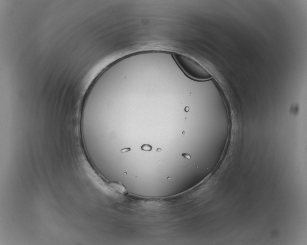 X0000113211246200910011313