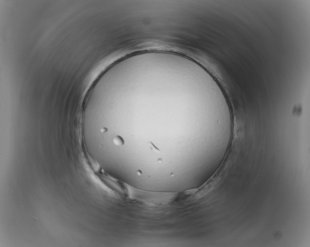 X0000113211247200910011313