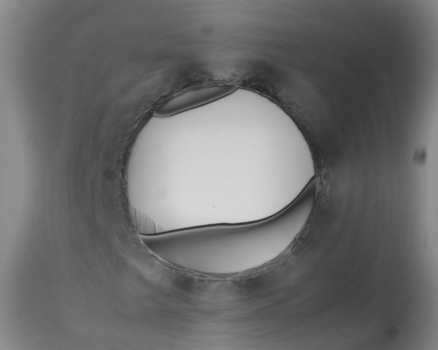 X0000113211249200910011312