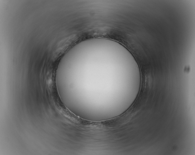 X0000113211250200910011312