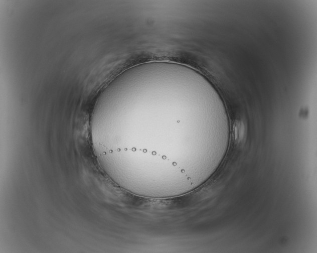 X0000113211251200910011312