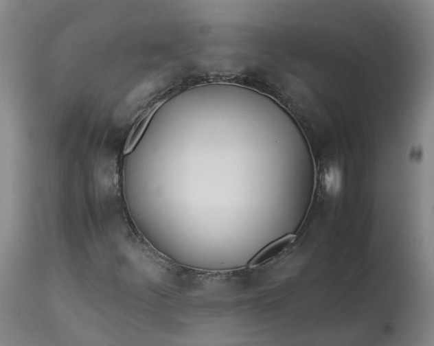 X0000113211252200910011312