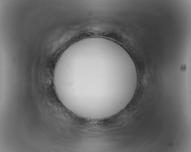 X0000113211253200910011312