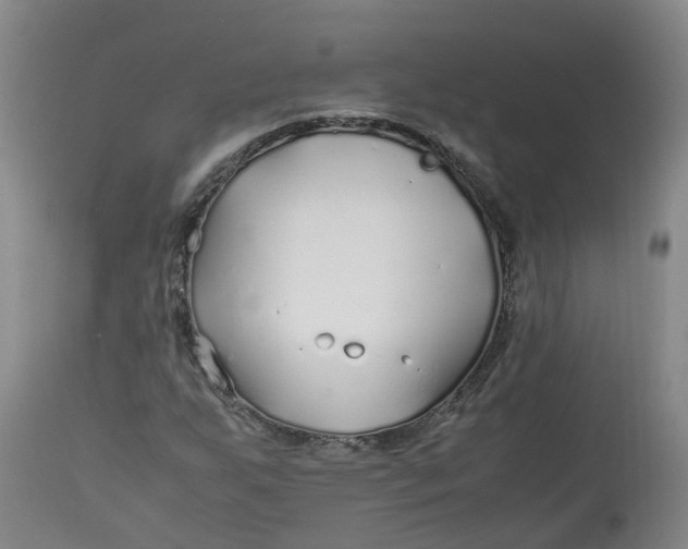 X0000113211255200910011312