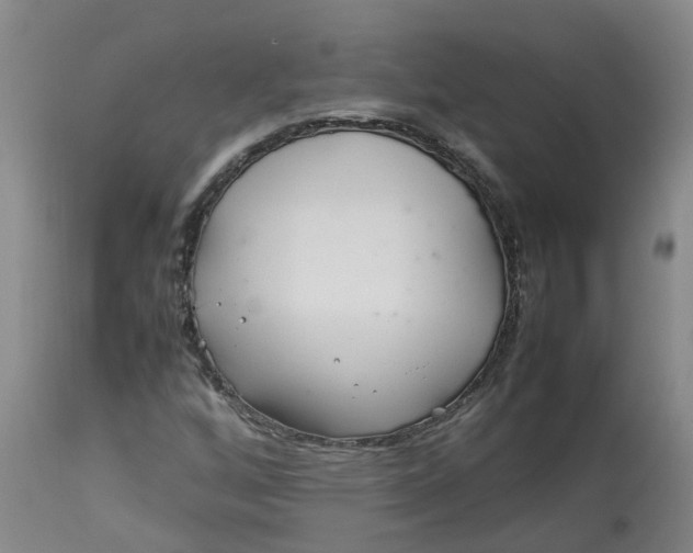 X0000113211256200910011312