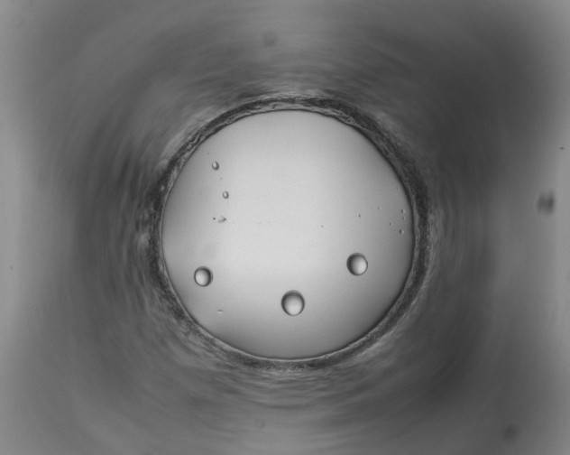 X0000113211257200910011312