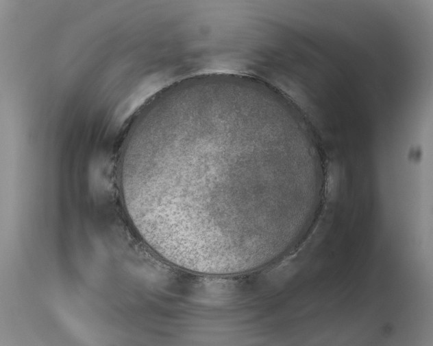 X0000113211258200910011312