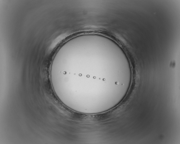 X0000113211259200910011312