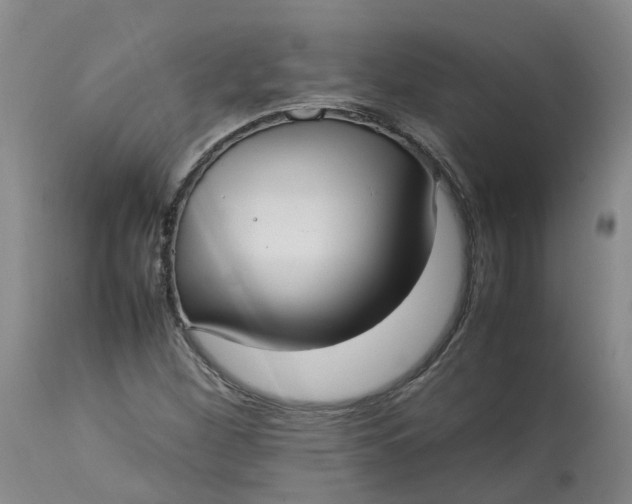 X0000113211260200910011312