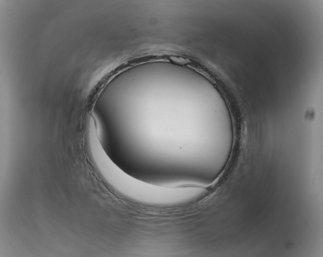 X0000113211261200910011312