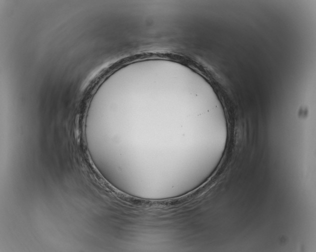 X0000113211262200910011312