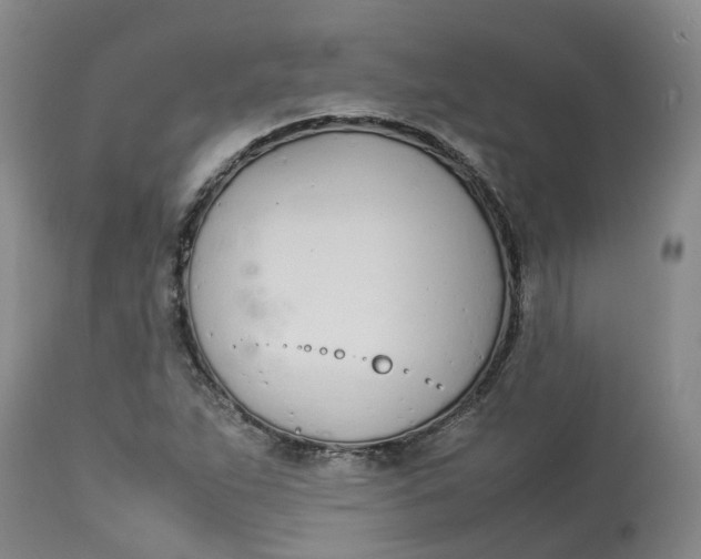 X0000113211263200910011312