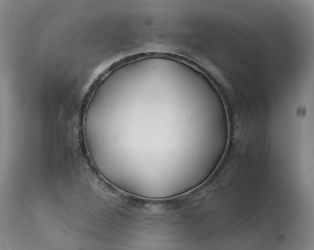 X0000113211264200910011312