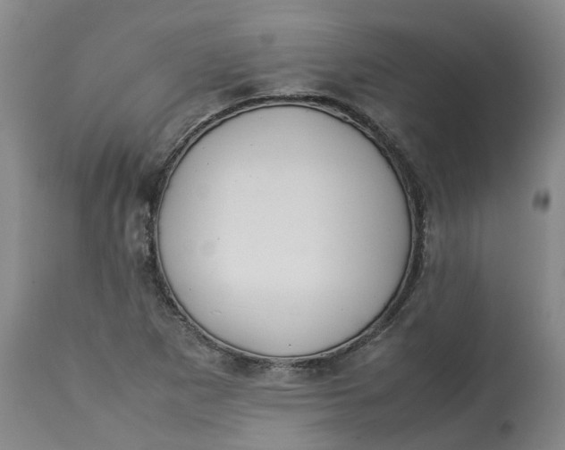 X0000113211265200910011312